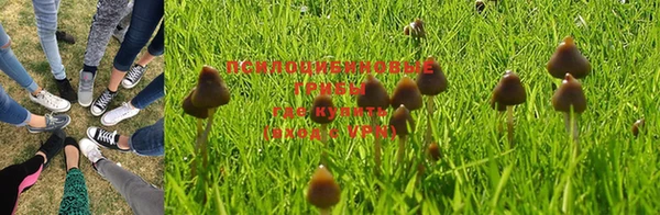 мяу мяу кристалл Арсеньев